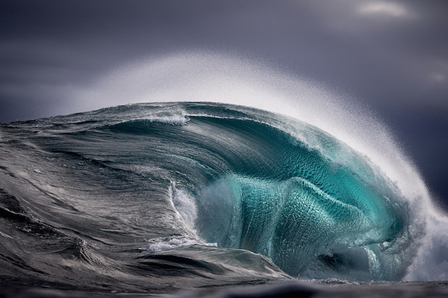 Sea Monster - Ray Collins