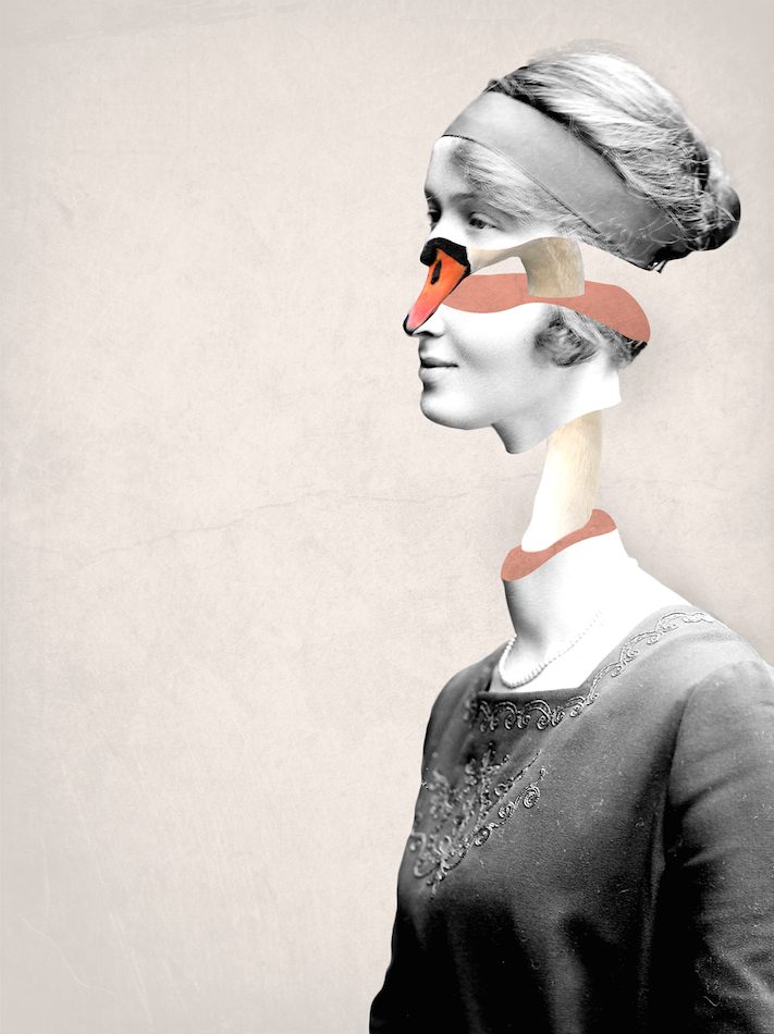 Surreal Collage Works by Julia Geiser_3