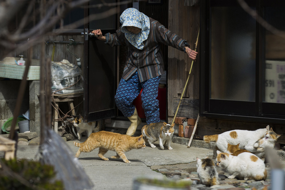 A local woman shoos away cats as she leaves her house on Aoshima Island in Ehime prefecture in southern Japan