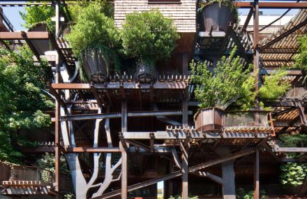 Urban Treehouse Protect from Air and Noise Pollution