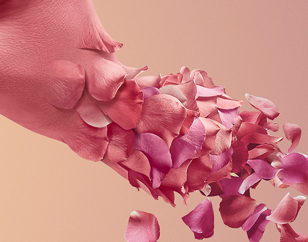 Woman Arm With Flower Petals_1