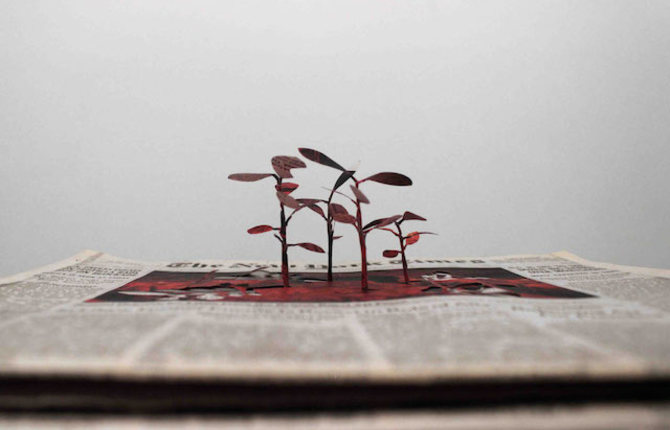 Cutting Paper Trees from Newspapers