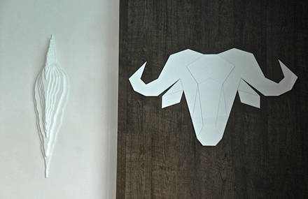 Gustave – Buffalo