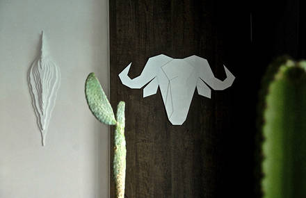 Gustave – Buffalo