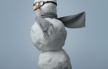 The Snowman Series