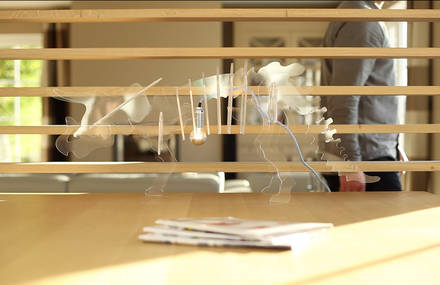 Dino light, a new kind of design lamp