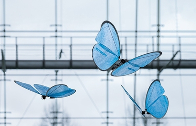 Drones of Blue Butterflies Army