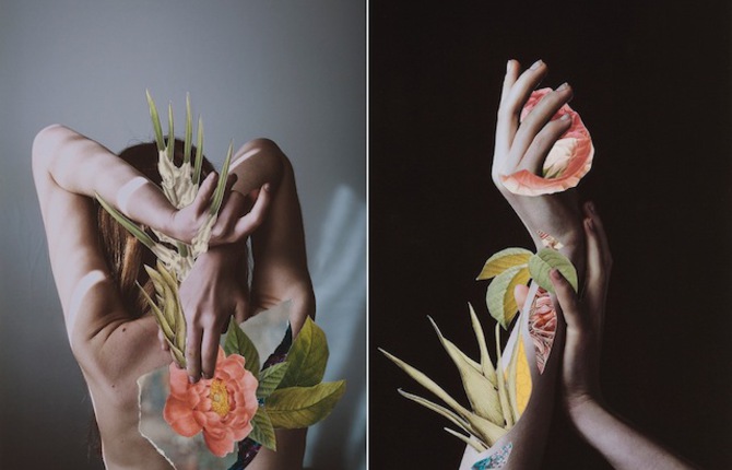 Hypnopompic Floral Collages by Rocio Montoya