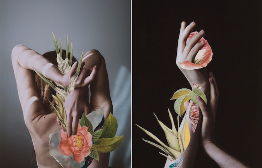 Hypnopompic Floral Collages by Rocio Montoya