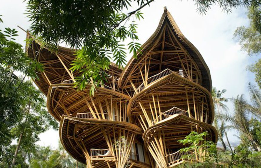 Spectacular Bamboo Architecture