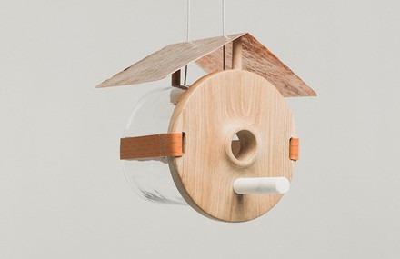 Wooden Oli-Bird House