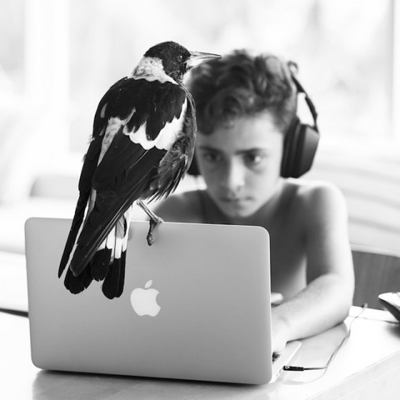 A Rescued Bird Named Penguin – Fubiz Media