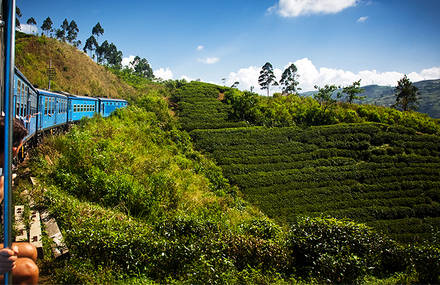 Découvrez les merveilles du Sri Lanka