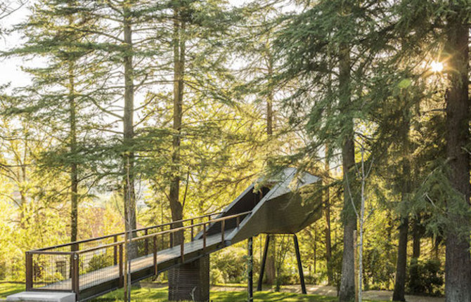 Portuguese Tree Snake House