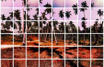 Colorful Mosaics of Landscapes