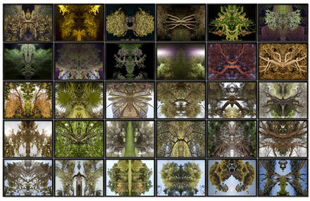 Psychotrees