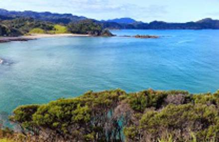 Unreal New Zealand