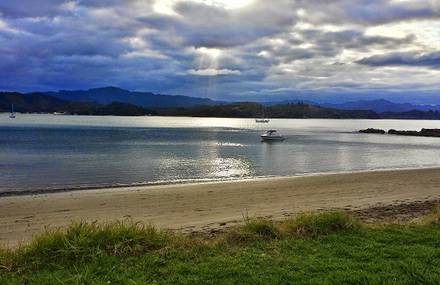 Unreal New Zealand