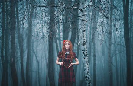 Fairy Tale Photo by Helena Polansky