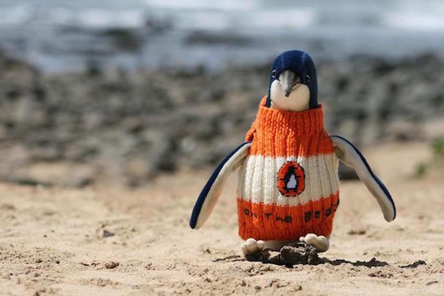 Oil-slicked penguins saved by adorable sweaters