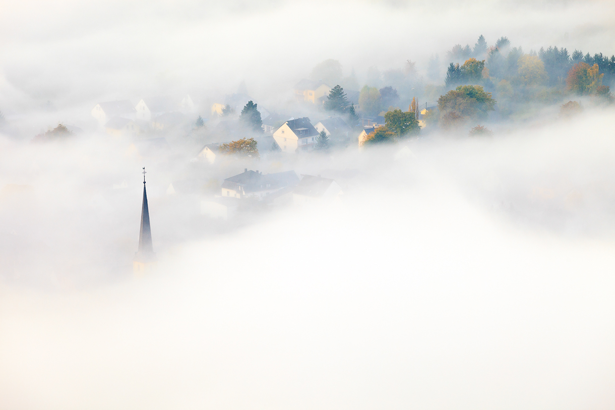 A glimpse - Wolf an der Mosel, Germany