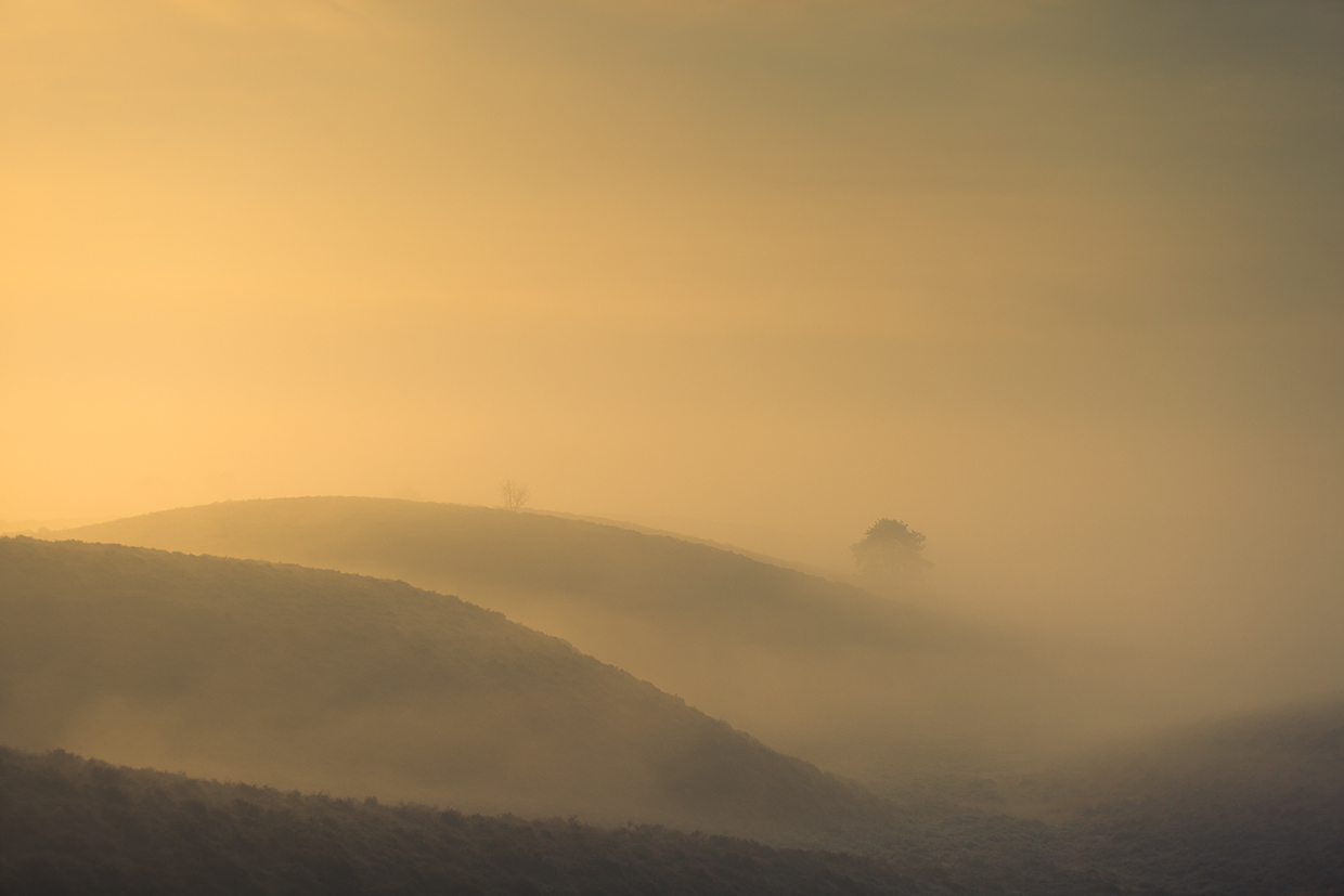 November sunrise - Posbank, The Netherlands