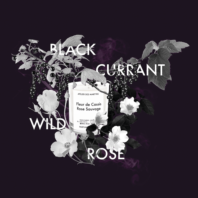 BLACKCURRANT