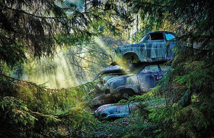 Car Graveyards Photography