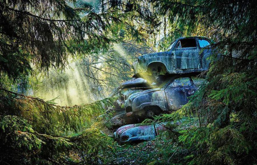 Car Graveyards Photography