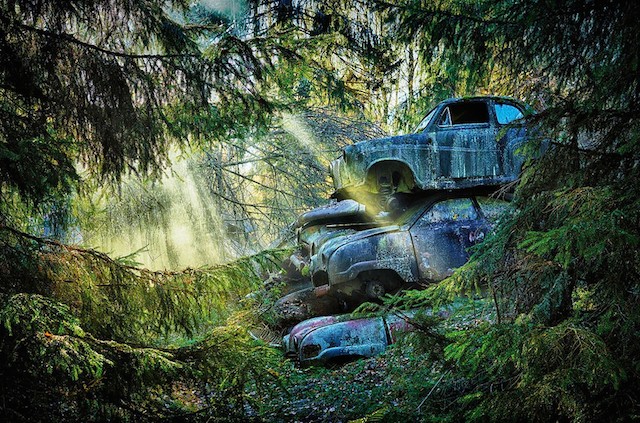 Car Graveyards Photography-1