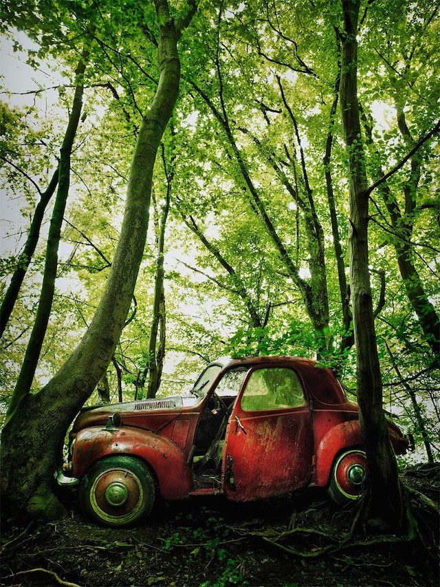 Car Graveyards Photography-2