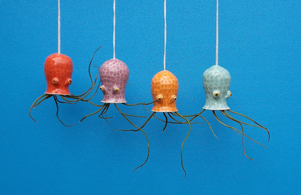 Ceramic Cephalopod and Jellyfish Air Plant Holders