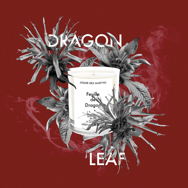 DRAGON_LEAF