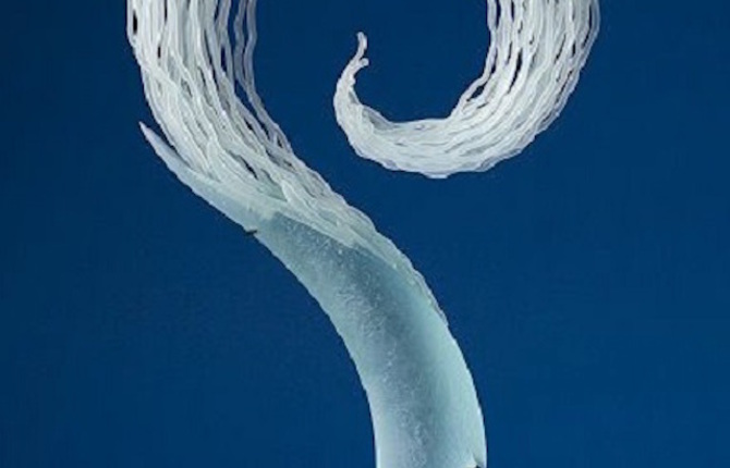 Flowing Glass Sculptures