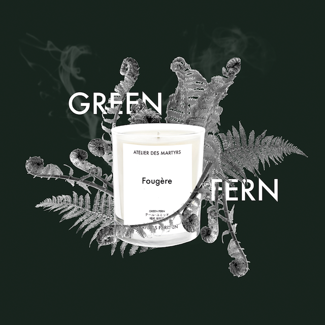 GREEN_FERN