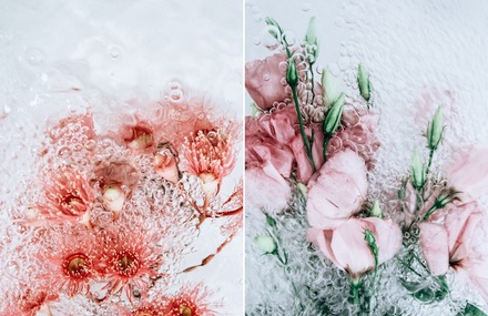 Floral Bouquets Floating in Bubbling Water