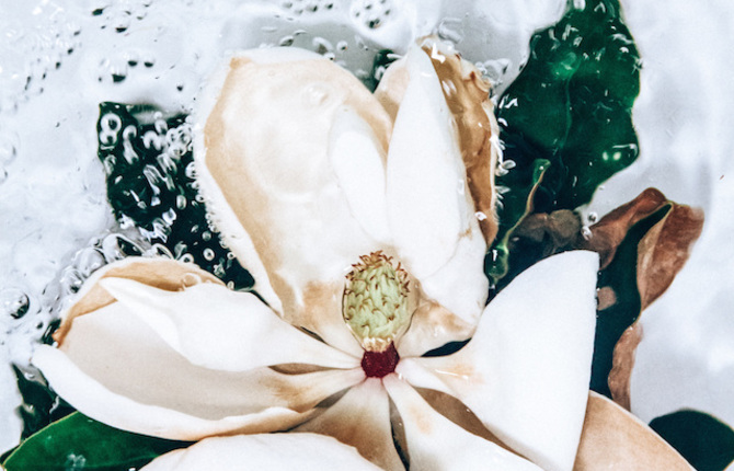 Floral Bouquets Floating in Bubbling Water