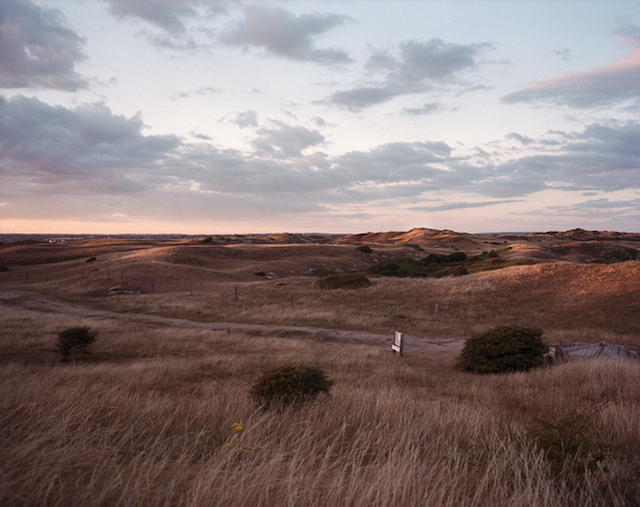 Nature and City Photography by Alex Cretey-16