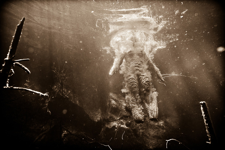 Oneiric Underwater Photography-18