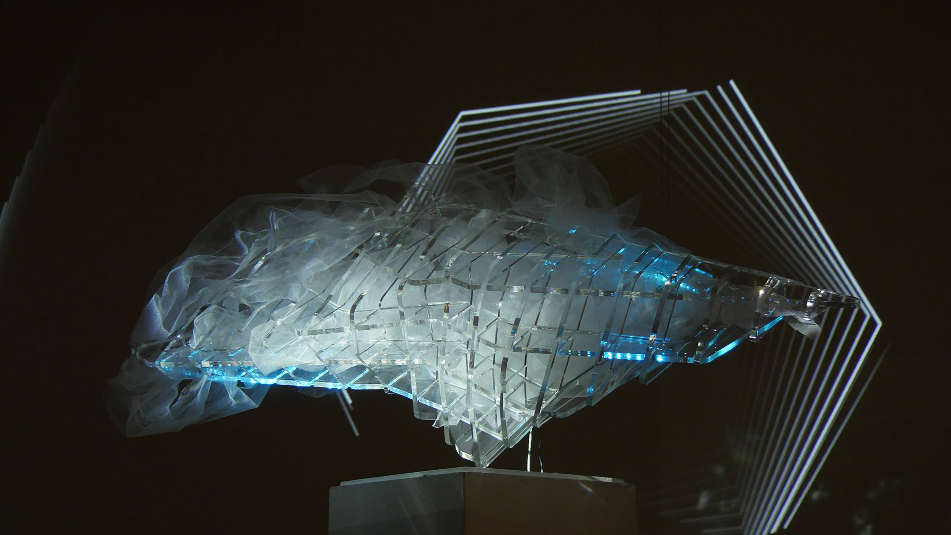 The Plexiglass Cloud Installation_3