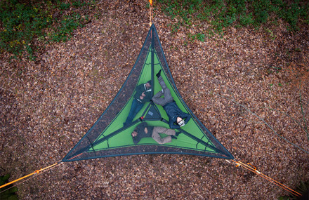 The Trillium Hammock