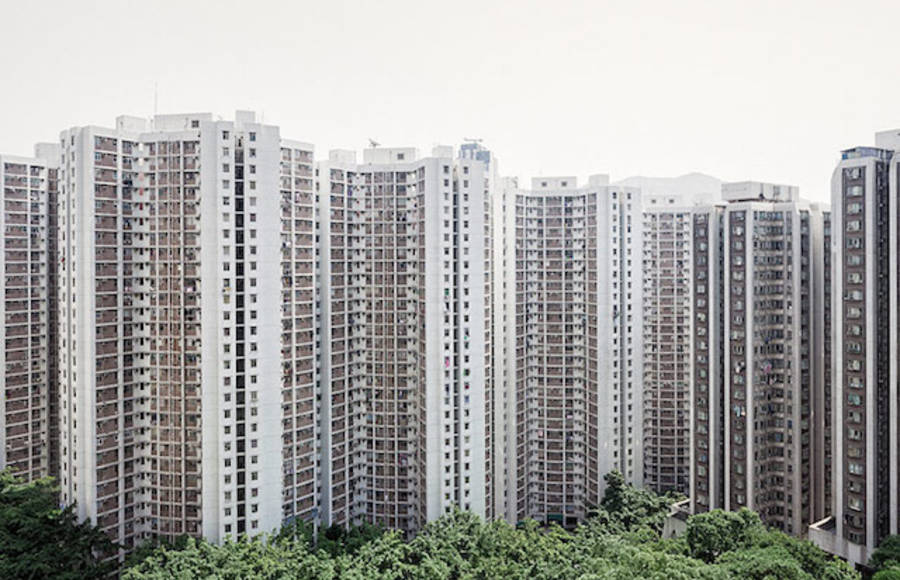 Urban Jungle in Hong Kong