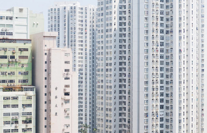 Urban Jungle in Hong Kong