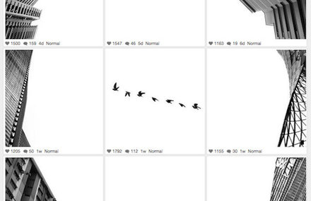 Creative Instagram Allowing the Bigger Pictures