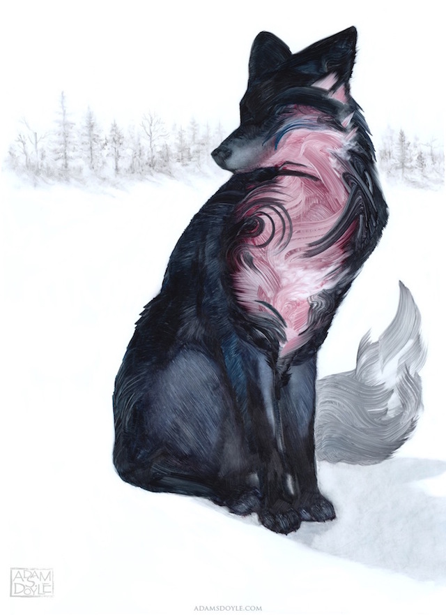doyle-4