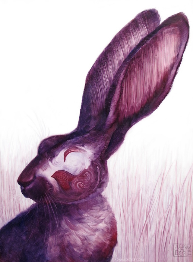 doyle-6