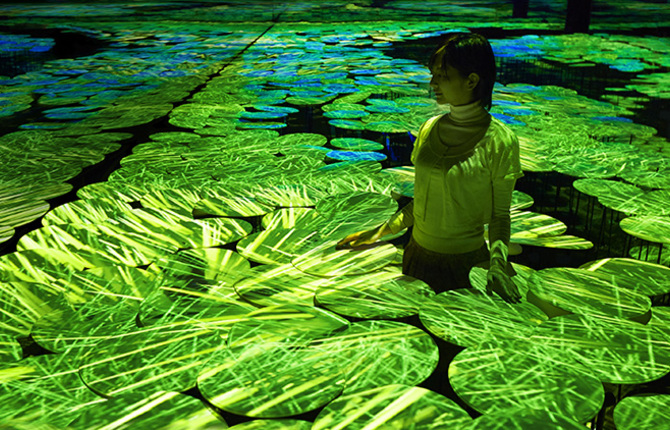Interactive Mapping Installation of Rice Fields
