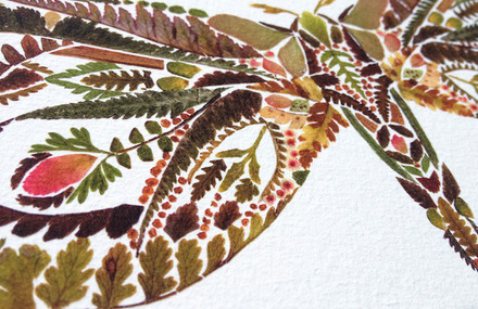 Delicate Pressed Fern Leaves Illustrations