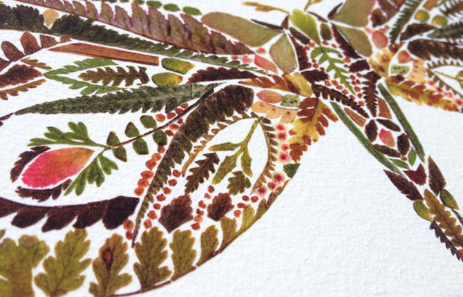 Delicate Pressed Fern Leaves Illustrations