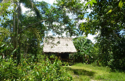 Inti Eco Lodge: the First Self sufficient Well being Center in the peruvian Amazon